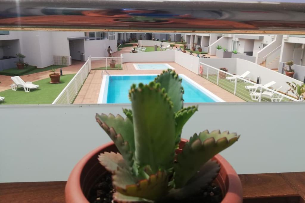 Апартаменти Blue Ocean Corralejo: Sunny Terrace, Pool, Wifi Екстер'єр фото
